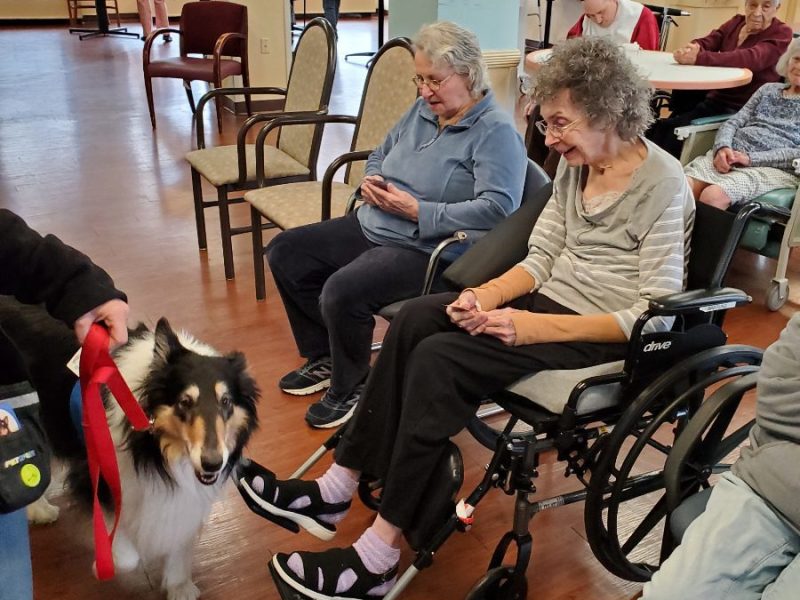 Residents enjoy therapy dogs