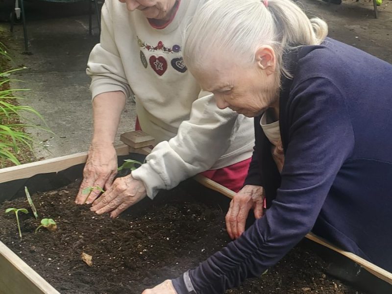JGS Residents plant a garden